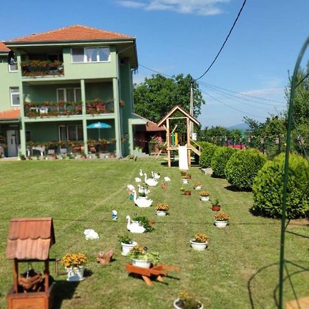 Apartment Pavlovic Soko Banja Esterno foto
