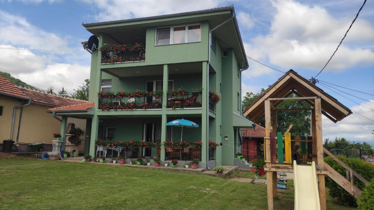 Apartment Pavlovic Soko Banja Esterno foto