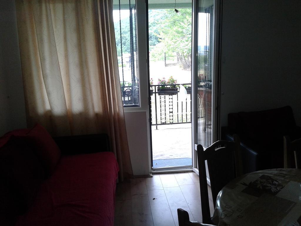 Apartment Pavlovic Soko Banja Esterno foto