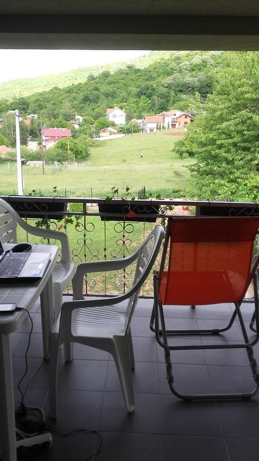 Apartment Pavlovic Soko Banja Esterno foto